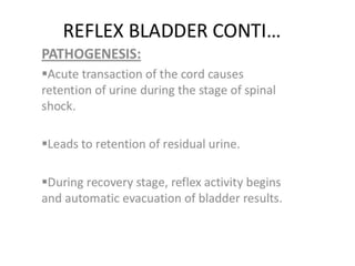 Urinary bladder