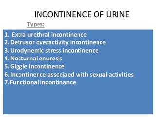 Urinary bladder