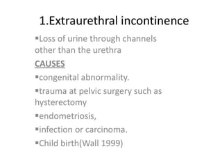 Urinary bladder