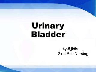Urinary
Bladder
- by Ajith
2 nd Bsc.Nursing
 