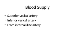 Blood Supply
• Superior vesical artery
• Inferior vesical artery
• From internal iliac artery
 