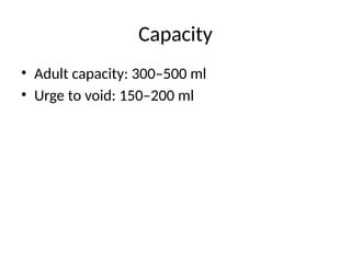 Capacity
• Adult capacity: 300–500 ml
• Urge to void: 150–200 ml
 