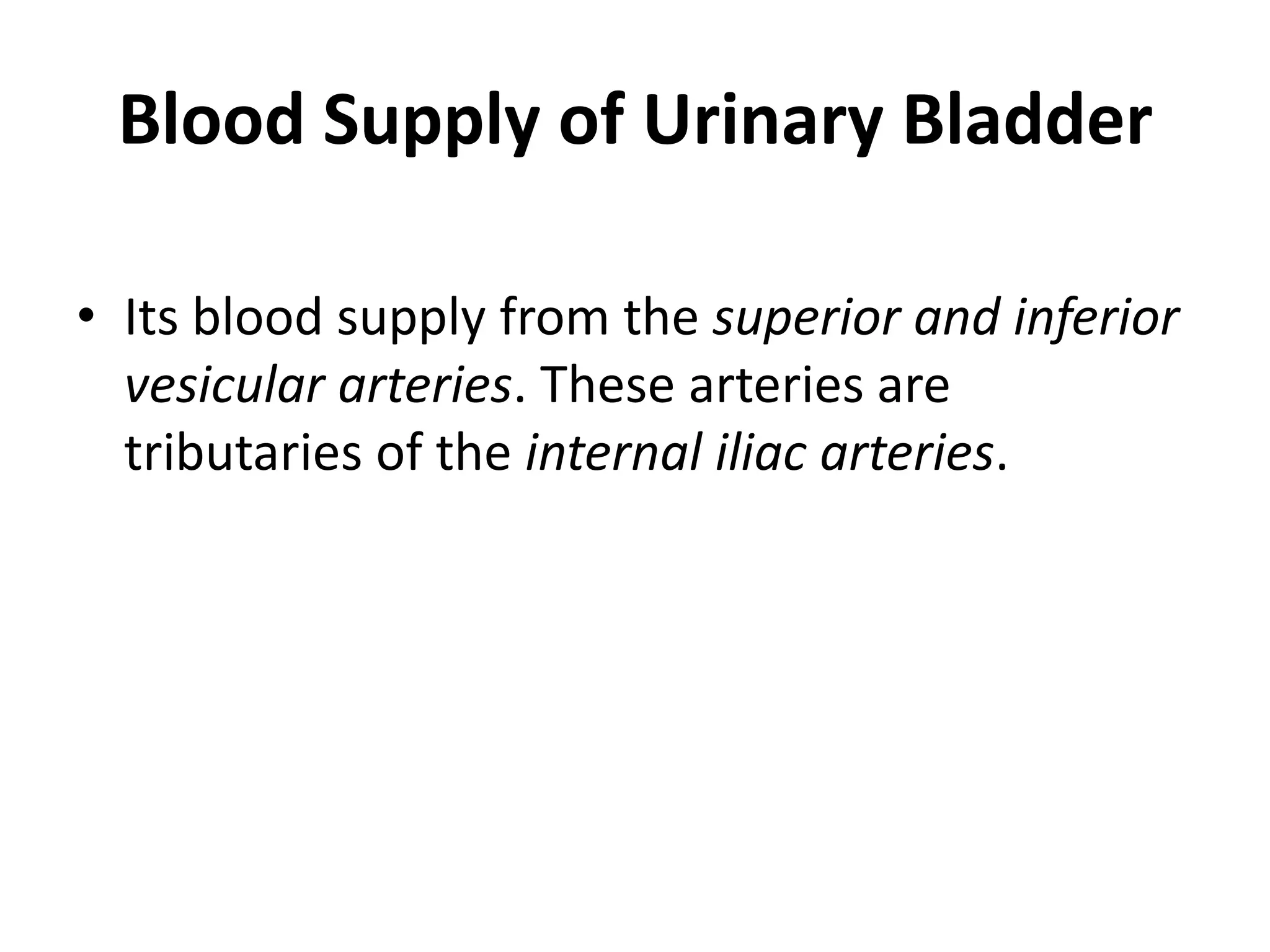 Blood Supply of Urinary Bladder Its blood supply from the superior and inferior vesicular arteries. These arteries are tributaries of the internal iliac arteries.