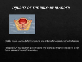 urinary bladder conditions.ppt