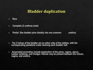 urinary bladder conditions.ppt