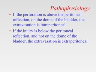 Pathophysiology
• If the perforation is above the peritoneal
reflection, on the dome of the bladder, the
extravasation is intraperitoneal
• If the injury is below the peritoneal
reflection, and not on the dome of the
bladder, the extravasation is extraperitoneal
 