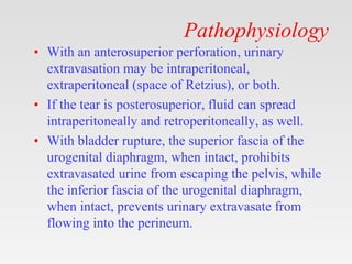 Pathophysiology
• With an anterosuperior perforation, urinary
extravasation may be intraperitoneal,
extraperitoneal (space of Retzius), or both.
• If the tear is posterosuperior, fluid can spread
intraperitoneally and retroperitoneally, as well.
• With bladder rupture, the superior fascia of the
urogenital diaphragm, when intact, prohibits
extravasated urine from escaping the pelvis, while
the inferior fascia of the urogenital diaphragm,
when intact, prevents urinary extravasate from
flowing into the perineum.
 