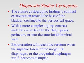 Diagnostic Studies Cystograpy.
• The classic cystographic finding is contrast
extravasation around the base of the
bladder, confined to the perivesical space.
• With a more complex injury, contrast
material can extend to the thigh, penis,
perineum, or into the anterior abdominal
wall.
• Extravasation will reach the scrotum when
the superior fascia of the urogenital
diaphragm, or the urogenital diaphragm
itself, becomes disrupted.
 