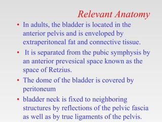 Relevant Anatomy
• In adults, the bladder is located in the
anterior pelvis and is enveloped by
extraperitoneal fat and connective tissue.
• It is separated from the pubic symphysis by
an anterior prevesical space known as the
space of Retzius.
• The dome of the bladder is covered by
peritoneum
• bladder neck is fixed to neighboring
structures by reflections of the pelvic fascia
as well as by true ligaments of the pelvis.
 