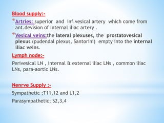 Blood supply:-
*Artries: superior and inf.vesical artery which come from
ant.devision of Internal iliac artery .
*Vesical veins:the lateral plexuses, the prostatovesical
plexus (pudendal plexus, Santorini) empty into the internal
iliac veins.
Lymph node:-
Perivesical LN , internal & external iliac LNs , common iliac
LNs, para-aortic LNs.
Nenrve Supply :-
Sympathetic ;T11,12 and L1,2
Parasympathetic; S2,3,4
 