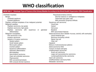 WHO classification
 