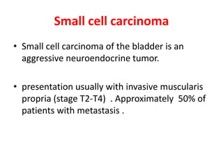Small cell carcinoma
• Small cell carcinoma of the bladder is an
aggressive neuroendocrine tumor.
• presentation usually with invasive muscularis
propria (stage T2-T4) . Approximately 50% of
patients with metastasis .
 