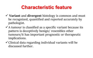 URINARY BLADDER TUMORS.pdf