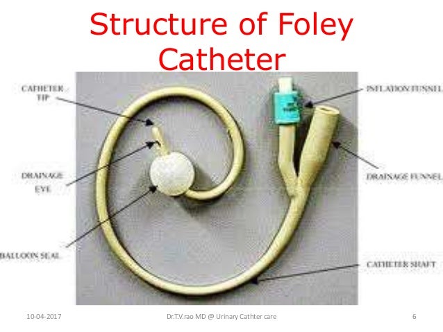 Foley catheter parts