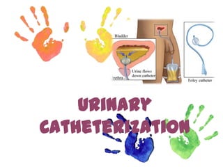 Urinary
Catheterization
 