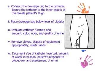 The Best Catheter Types, Insertion Tips, Care And More
