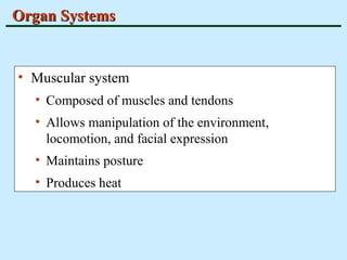 OOrrggaann SSyysstteemmss 
• Muscular system 
• Composed of muscles and tendons 
• Allows manipulation of the environment, 
locomotion, and facial expression 
• Maintains posture 
• Produces heat 
 