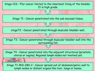 Stage CIS : Flat cancer limited to the innermost lining of the bladder.
It is high grade
Stage T1 : Cancer penetrated into the sub mucosal tissue.
stageT2 : Cancer penetrated through muscular bladder wall.
Stage T3 : Cancer penetrated through muscular bladder wall into the
surrounding fat.
Stage T4 : Cancer penetrated into the adjacent structures (prostate,
uterus or vagina). Regional lymph nodes not involved yet.
Stage T1-4N1-2M1-2 : Cancer spread out of abdomen/pelvic wall to
lymph nodes or distant organs like liver, lungs or bones.
 