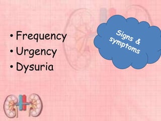 • Frequency
• Urgency
• Dysuria
 