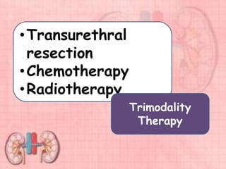 •Transurethral
resection
•Chemotherapy
•Radiotherapy
Trimodality
Therapy
 