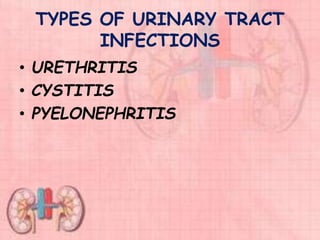 TYPES OF URINARY TRACT
INFECTIONS
• URETHRITIS
• CYSTITIS
• PYELONEPHRITIS
 
