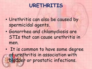 URETHRITIS
• Urethritis can also be caused by
spermicidal agents.
• Gonorrhea and chlamydiosis are
STIs that can cause urethritis in
men.
• It is common to have some degree
of urethritis in association with
bladder or prostatic infections.
 