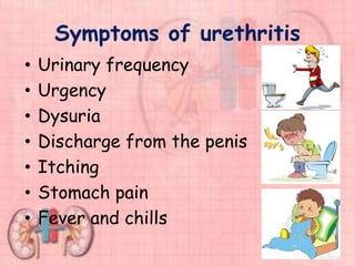 Symptoms of urethritis
• Urinary frequency
• Urgency
• Dysuria
• Discharge from the penis
• Itching
• Stomach pain
• Fever and chills
 