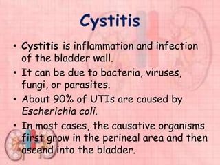 Cystitis
• Cystitis is inflammation and infection
of the bladder wall.
• It can be due to bacteria, viruses,
fungi, or parasites.
• About 90% of UTIs are caused by
Escherichia coli.
• In most cases, the causative organisms
first grow in the perineal area and then
ascend into the bladder.
 