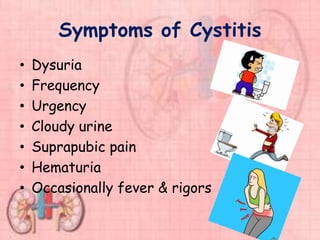 Symptoms of Cystitis
• Dysuria
• Frequency
• Urgency
• Cloudy urine
• Suprapubic pain
• Hematuria
• Occasionally fever & rigors
 
