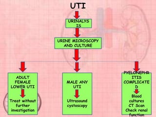 UTI
URINALYS
IS
URINE MICROSCOPY
AND CULTURE
ADULT
FEMALE
LOWER UTI
Treat without
further
investigation
MALE ANY
UTI
Ultrasound
cystoscopy
PYELONEPHR
ITIS
COMPLICATE
D
Blood
cultures
CT Scan
Check renal
function
 