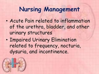 Nursing Management
• Acute Pain related to inflammation
of the urethra, bladder, and other
urinary structures
• Impaired Urinary Elimination
related to frequency, nocturia,
dysuria, and incontinence.
 