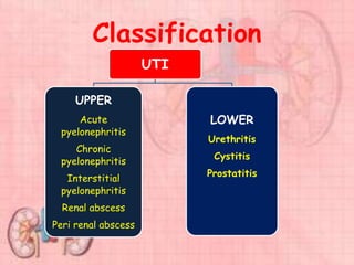 Classification
UTI
UPPER
Acute
pyelonephritis
Chronic
pyelonephritis
Interstitial
pyelonephritis
Renal abscess
Peri renal abscess
LOWER
Urethritis
Cystitis
Prostatitis
 