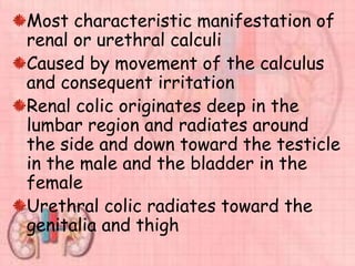 Most characteristic manifestation of
renal or urethral calculi
Caused by movement of the calculus
and consequent irritation
Renal colic originates deep in the
lumbar region and radiates around
the side and down toward the testicle
in the male and the bladder in the
female
Urethral colic radiates toward the
genitalia and thigh
 
