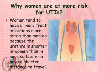 Why women are at more risk
for UTIs?
• Women tend to
have urinary tract
infections more
often than men do
because the
urethra is shorter
in women than in
men, so bacteria
have a shorter
distance to travel.
 