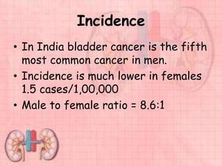 Incidence
• In India bladder cancer is the fifth
most common cancer in men.
• Incidence is much lower in females
1.5 cases/1,00,000
• Male to female ratio = 8.6:1
 
