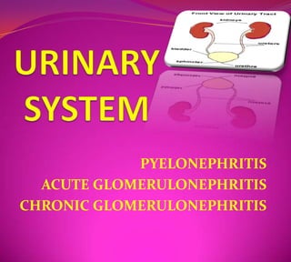 URINARY SYSTEM PYELONEPHRITIS ACUTE GLOMERULONEPHRITIS CHRONIC GLOMERULONEPHRITIS 