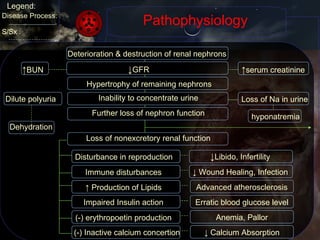 Pathophysiology Dilute polyuria Legend: Disease Process: S/Sx : Deterioration & destruction of renal nephrons ↓ GFR ↑ BUN ↑ serum creatinine Hypertrophy of remaining nephrons Inability to concentrate urine Dehydration Further loss of nephron function Loss of Na in urine hyponatremia Loss of nonexcretory renal function Disturbance in reproduction ↓ Libido, Infertility Immune disturbances ↓  Wound Healing, Infection ↑  Production of Lipids Advanced atherosclerosis Impaired Insulin action Erratic blood glucose level (-) erythropoetin production (-) Inactive calcium concertion Anemia, Pallor ↓  Calcium Absorption 