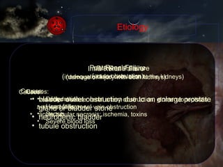 Intra Renal Failure ( damage or injury with both kidneys) Causes: vesicular disease: renal artery obstruction, glomerulonephritis and vasculitis, renal vein obstruction acute tubular necrosis: ischemia, toxins Post Renal Failure ( acute obstruction) Causes: bladder outlet obstruction due to an enlarge prostate gland or bladder stone neurogenic bladder tubule obstruction Pre Renal Failure ( inadequate blood circulation to the kidneys) Causes:  Dehydration Heart failure Sepsis Severe blood loss  Etiology 