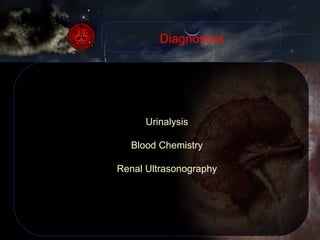 Diagnostics Urinalysis Blood Chemistry Renal Ultrasonography 