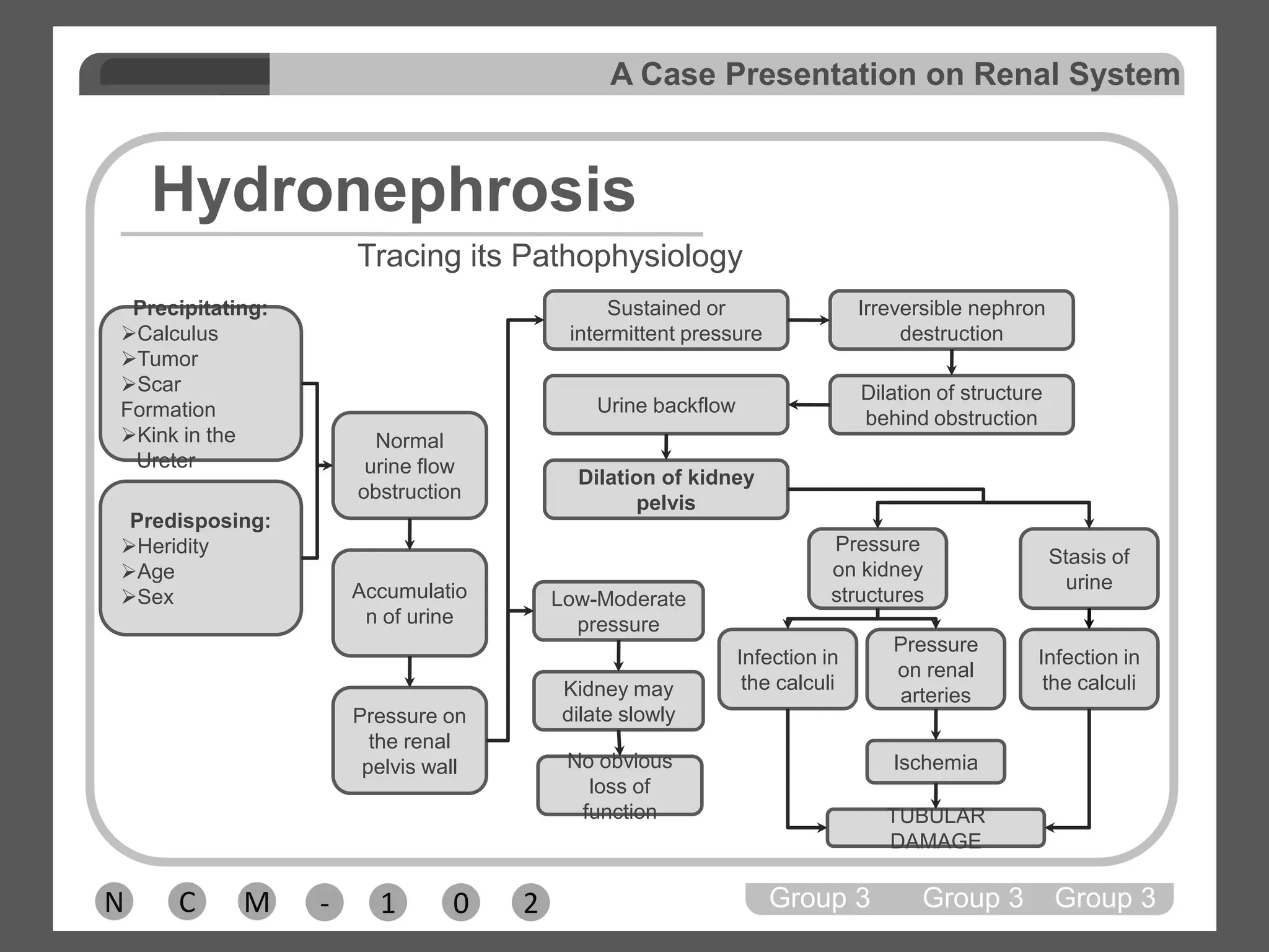 Metabolic Conditions