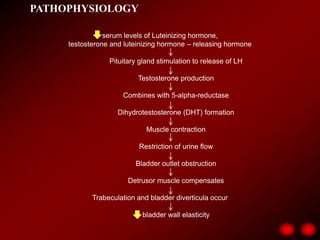  BPH becomes a disorder when enlargement obstructs the urinary channel and causes changes in the urinary tract with associated manifestations. The etiology of BPH is unclear.Two factors necessary for BPH to occur are:	(1) endocrine control (DHT)	(2) agingHormonal Alteration: The relative roles of androgen & estrogen in inducing BPH, however , are complex & not completely understood.- Prostatic enlargement eventually occurs in 80% of men. By age 50, about 50% of men have some degree of BPH. - Increased in African American men and is lower in Asians. 