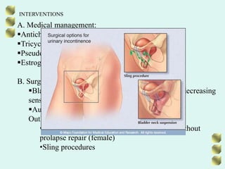 DIAGNOSTICSDigital Rectal Examination (DRE) – smooth, firm, symmetric enlargement of the prostate