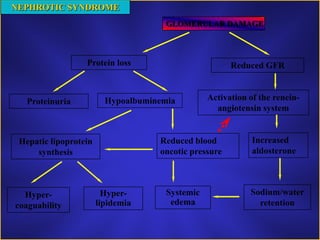 Vesicourethral reflux, hydroureter, hydronephrosis 