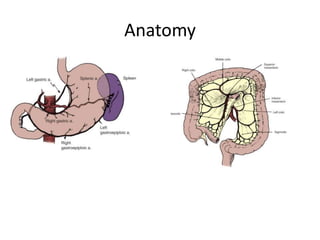 Anatomy 
 
