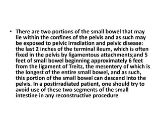 • There are two portions of the small bowel that may 
lie within the confines of the pelvis and as such may 
be exposed to pelvic irradiation and pelvic disease: 
the last 2 inches of the terminal ileum, which is often 
fixed in the pelvis by ligamentous attachments;and 5 
feet of small bowel beginning approximately 6 feet 
from the ligament of Treitz, the mesentery of which is 
the longest of the entire small bowel, and as such, 
this portion of the small bowel can descend into the 
pelvis. In a postirradiated patient, one should try to 
avoid use of these two segments of the small 
intestine in any reconstructive procedure 
 