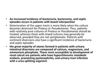 • An increased incidence of bacteriuria, bacteremia, and septic 
episodes occurs in patients with bowel interposition 
• Deterioration of the upper tracts is more likely when the culture 
becomes dominant for Proteus or Pseudomonas. Thus, patients 
with relatively pure cultures of Proteus or Pseudomonas should be 
treated, whereas those with mixed cultures may generally be 
observed, provided they are not symptomatic. Patients with 
continent diversions also have a significant incidence of bacteriuria 
and septic episodes 
• the great majority of stones formed in patients with urinary 
intestinal diversions are composed of calcium, magnesium, and 
ammonium phosphate. Those most susceptible to development of 
renal calculi are patients who have hyperchloremic metabolic 
acidosis, preexisting pyelonephritis, and urinary tract infection 
with a urea-splitting organism 
 