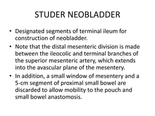 STUDER NEOBLADDER
• Designated segments of terminal ileum for
construction of neobladder.
• Note that the distal mesenteric division is made
between the ileocolic and terminal branches of
the superior mesenteric artery, which extends
into the avascular plane of the mesentery.
• In addition, a small window of mesentery and a
5-cm segment of proximal small bowel are
discarded to allow mobility to the pouch and
small bowel anastomosis.
 