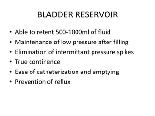 BLADDER RESERVOIR
• Able to retent 500-1000ml of fluid
• Maintenance of low pressure after filling
• Elimination of intermittant pressure spikes
• True continence
• Ease of catheterization and emptying
• Prevention of reflux
 