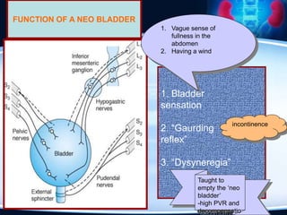 1. Bladder
sensation
2. “Gaurding
reflex”
3. “Dysyneregia”
FUNCTION OF A NEO BLADDER
1. Vague sense of
fullness in the
abdomen
2. Having a wind
Taught to
empty the ‘neo
bladder’
-high PVR and
decompensatio
incontinence
 