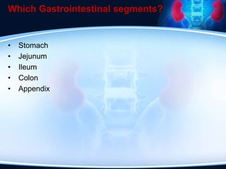 Which Gastrointestinal segments?
• Stomach
• Jejunum
• Ileum
• Colon
• Appendix
 